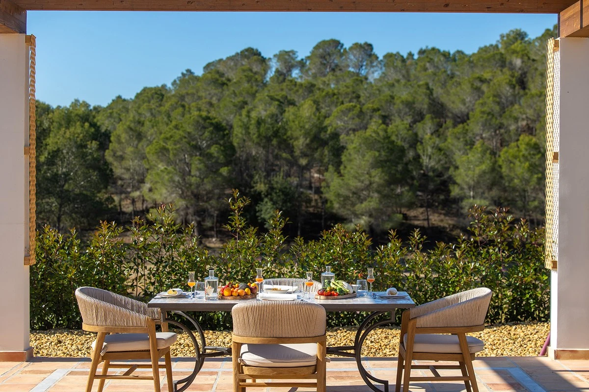Estrés digital: el truco de 5 minutos en tu terraza y jardinería que calma el cortisol - image 1