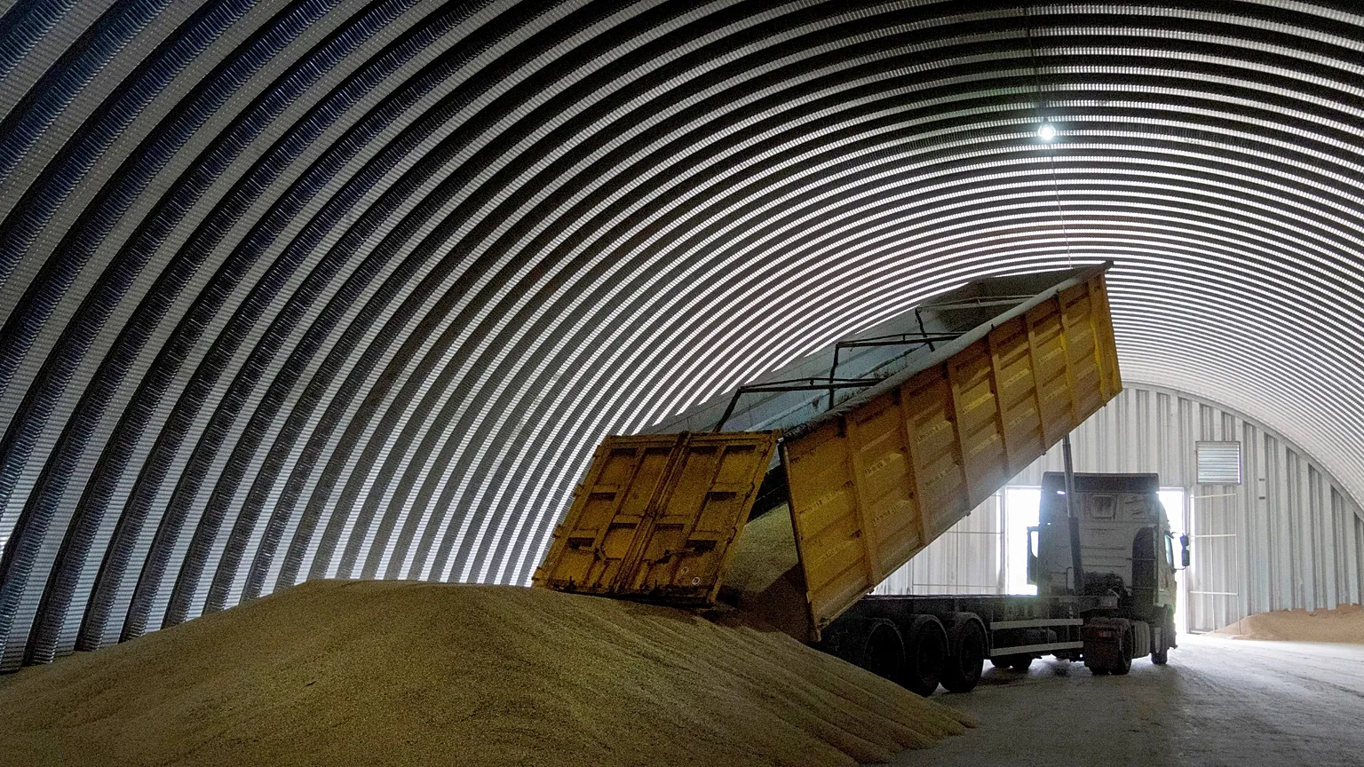 FILE - A dump track unloads grain in a granary in the village of Zghurivka, Ukraine, on Aug. 9, 2022
