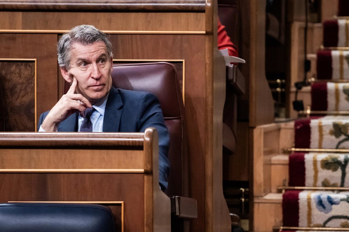 El presidente del PP, Alberto Núñez Feijóo, durante una sesión plenaria, en el Congreso de los Diputados. César Vallejo Rodríguez - Europa Press
