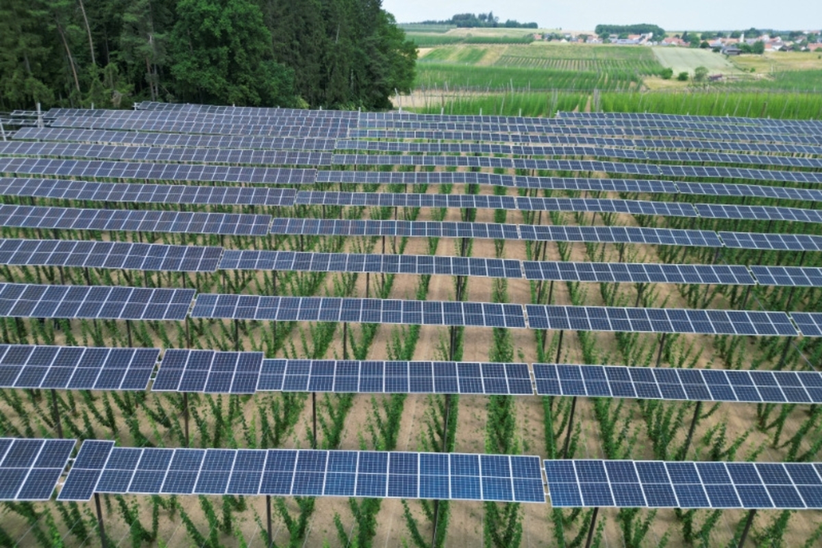 Placas solares. REUTERS/Louisa Off