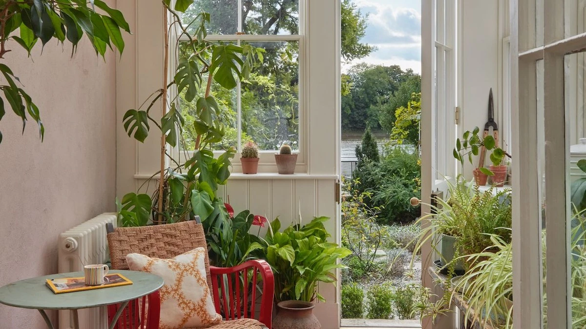 Feng Shui en casa: por qué tener Camellia chrysantha atrae la abundancia - image 1