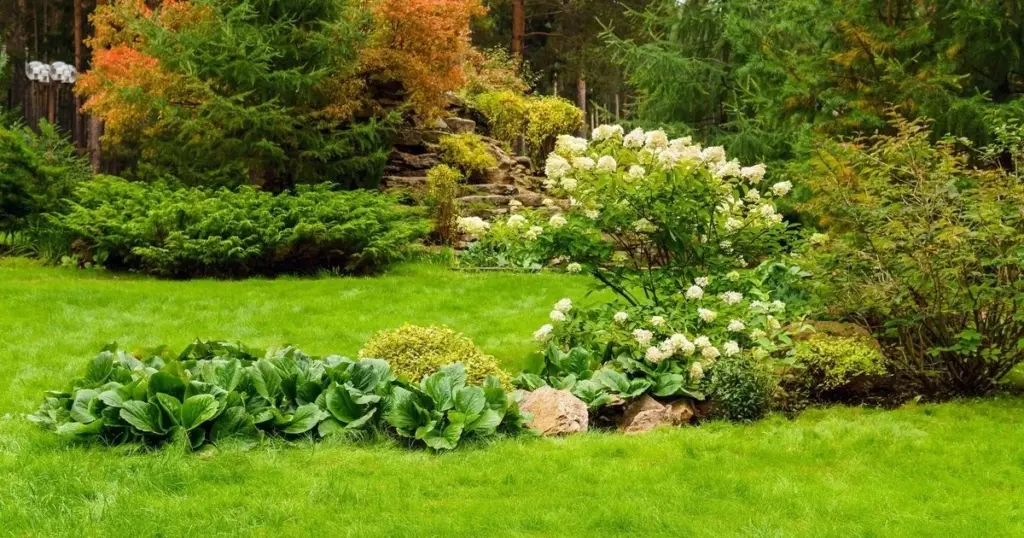 Flores espectaculares este verano: el truco de abril para tu Gladiolo y Plantas perennes