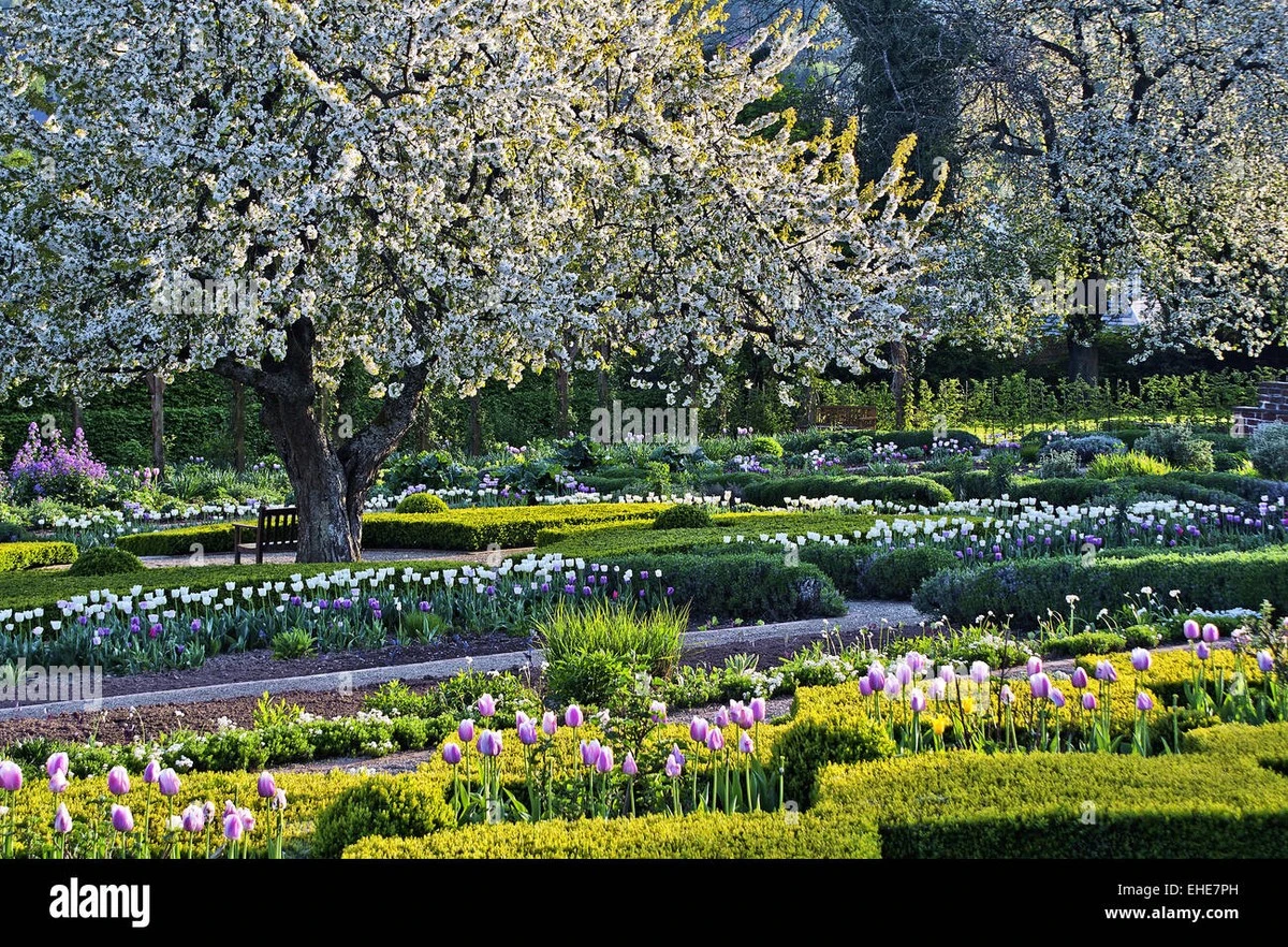 Gartenlust en Kloster Lorch: el secreto para un jardín resistente al calor - image 1