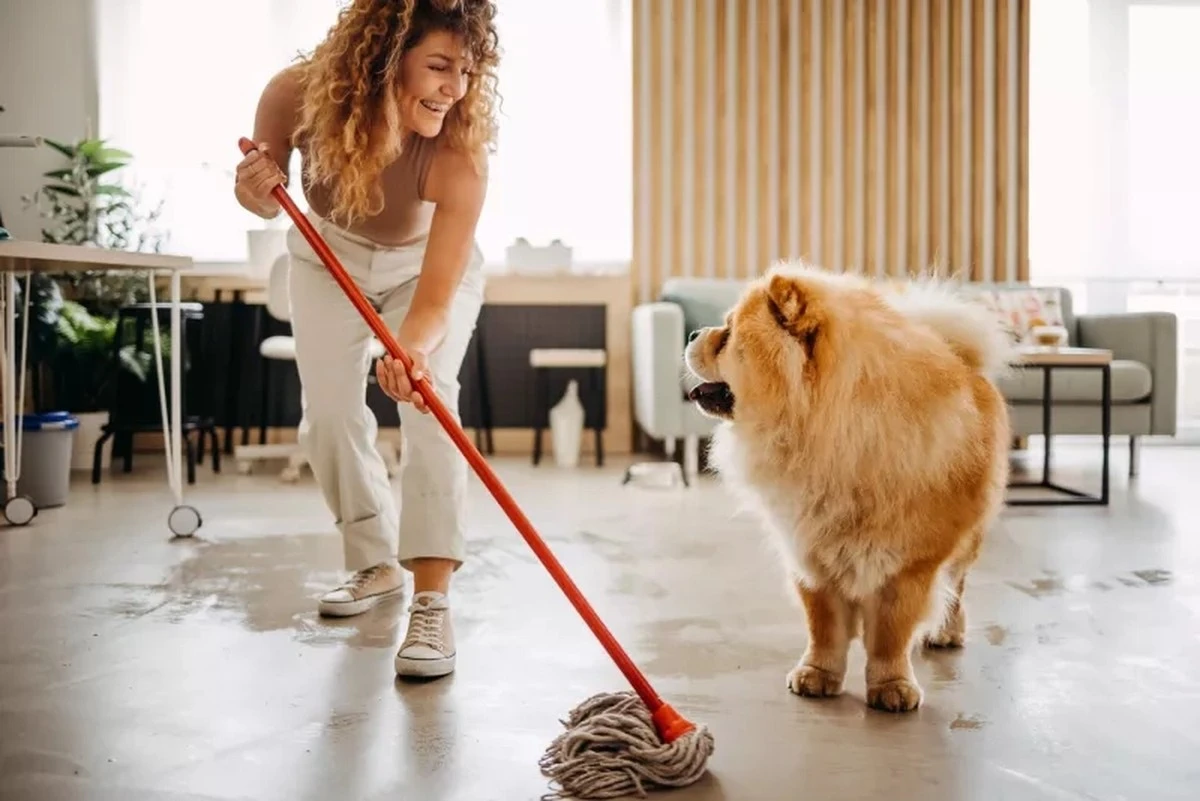 Hogar sin olores ni alergias: el truco definitivo para Perros y Gatos - image 1