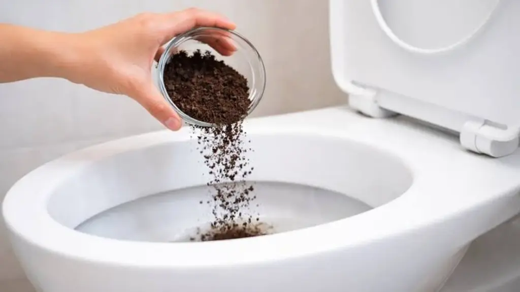 Inodoro con mal olor: por qué los fontaneros tiran posos de café hoy mismo