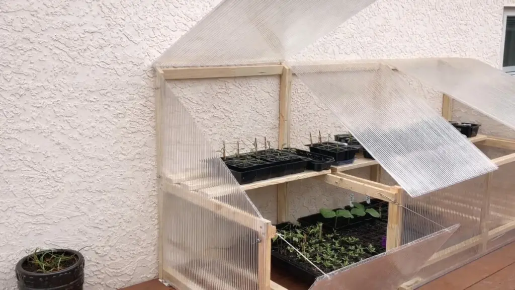 Invernadero de policarbonato: el método modular para proteger tus plantas por muy poco