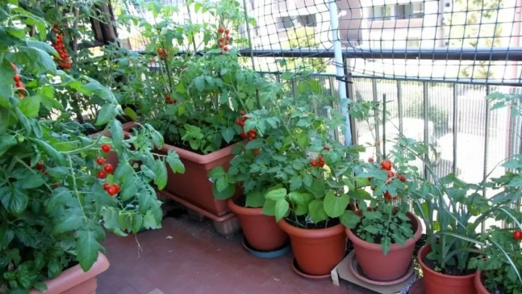 Jardinería de balcón (horticultura urbana): de Szeged a tu casa con este truco