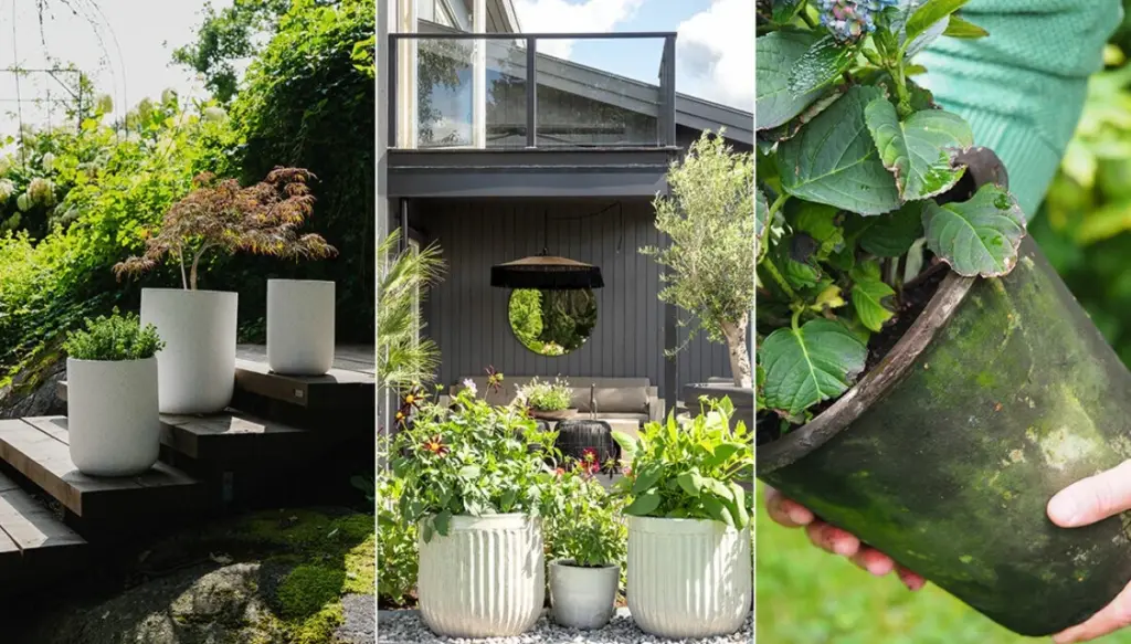 Jardinería sin sequía: por qué elegí el cultivo en macetas para 2026