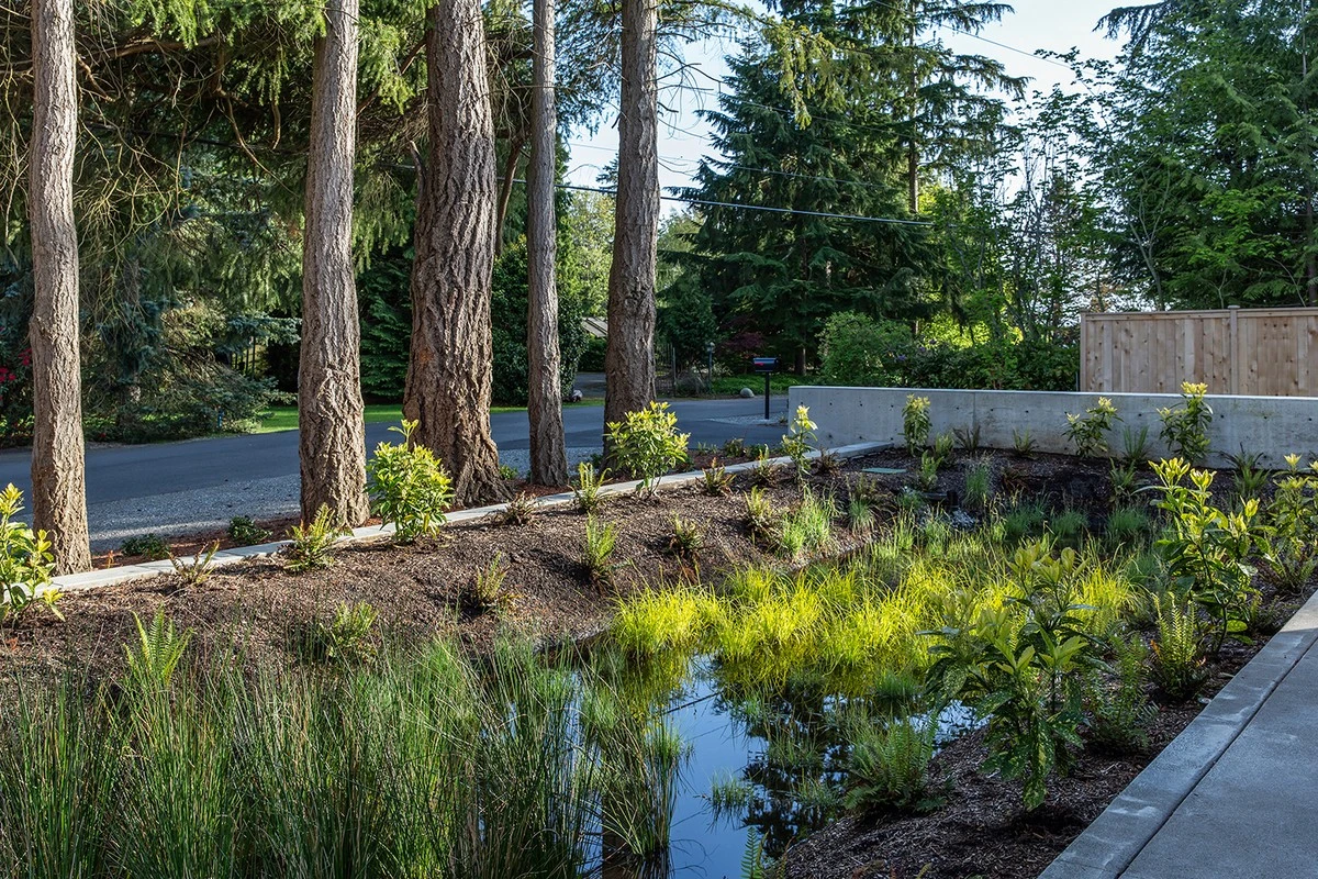 Jardín inundado: Jason Stagg y el LSU AgCenter Botanic Gardens at Burden revelan el secreto - image 1