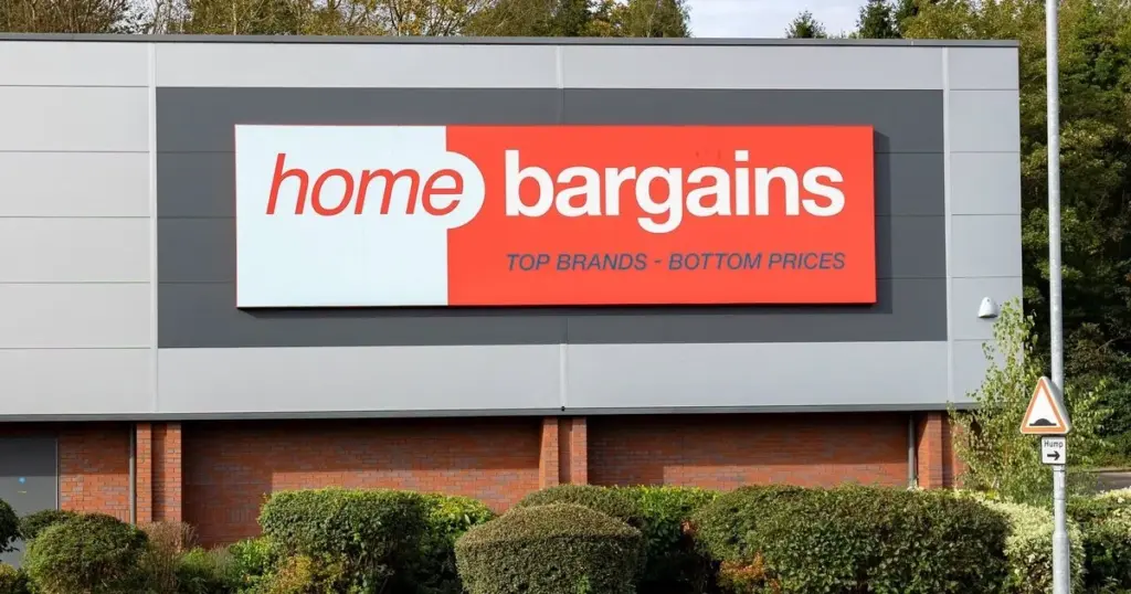 Jardín sin riego: el secreto de Home Bargains y su Jardin Artificial Rattan Planter