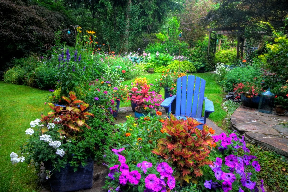 Las flores con aroma a vainilla que perfuman tu jardín a 2 km - image 1