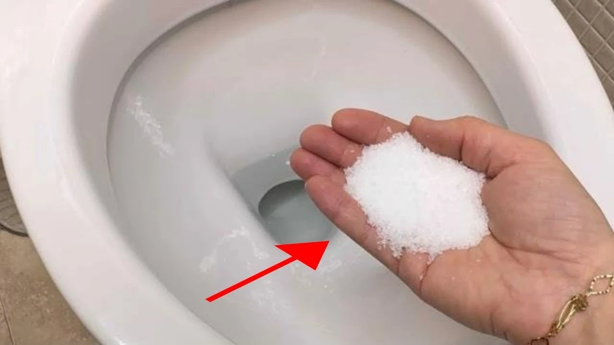 Limpieza del hogar: por qué pongo Sal en el inodoro antes de dormir - image 1