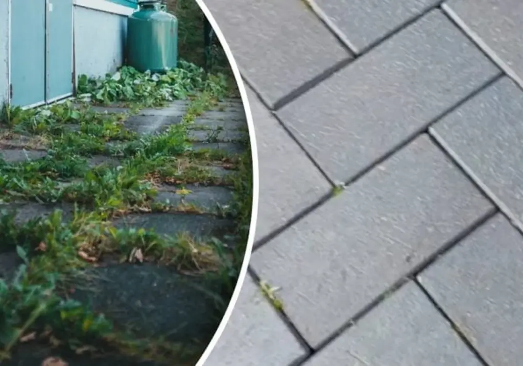Malezas en el pavimento: el truco de expertos jardineros para eliminarlas