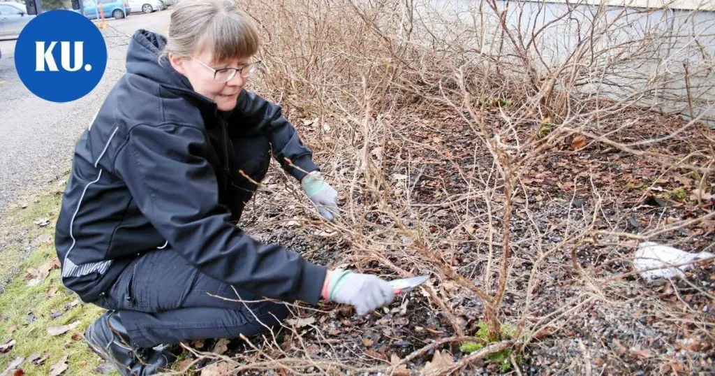 No limpies tu jardín aún: la advertencia de Marjatta Oittinen y Hyria