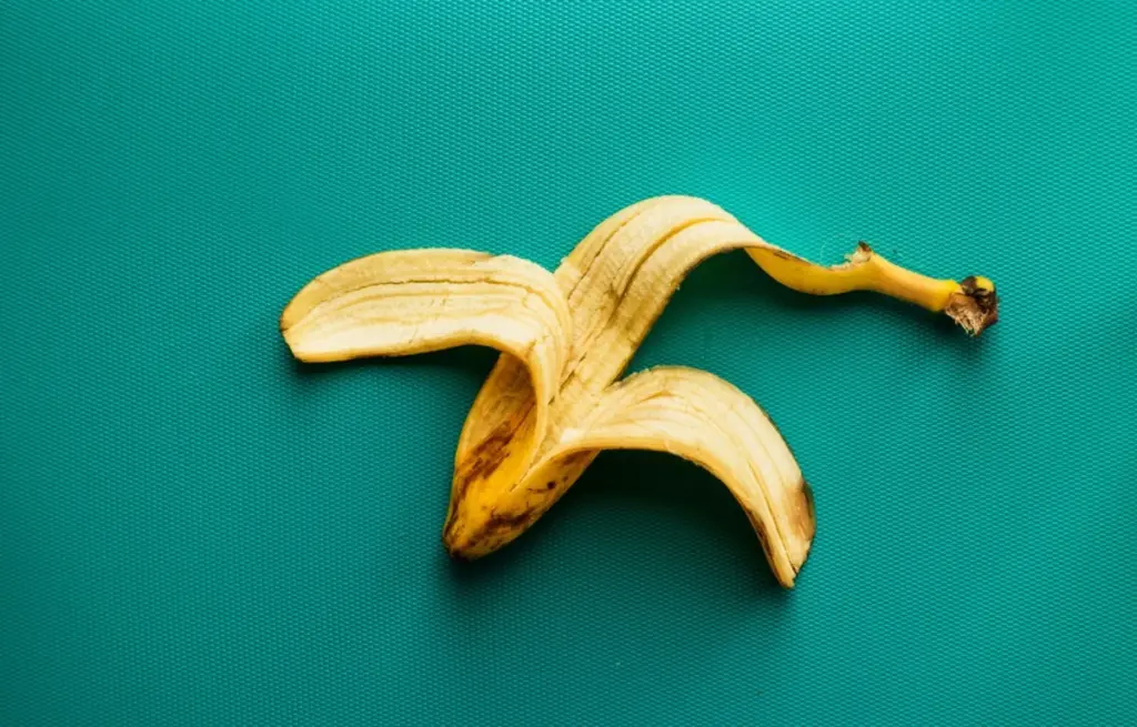 No tires la cáscara de plátano: mézclala con vinagre para revivir tus plantas