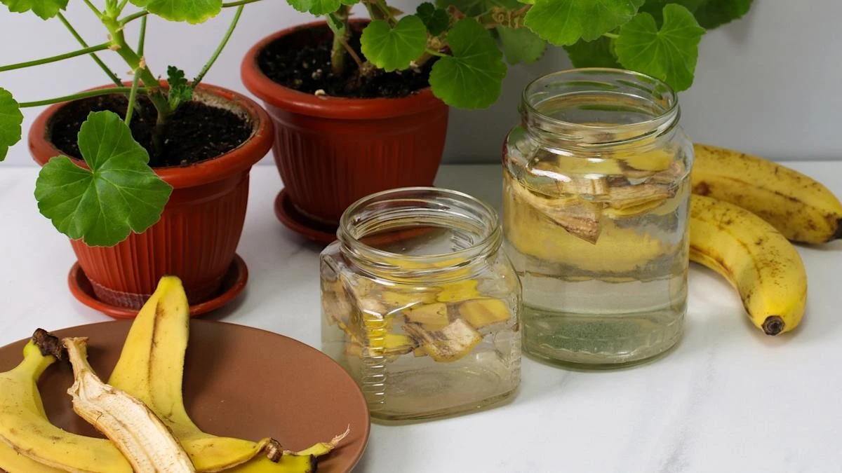 No tires la cáscara de plátano: mézclala con vinagre para revivir tus plantas - image 1