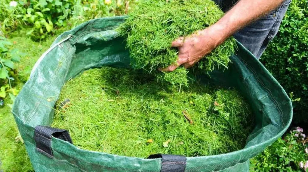 No tires los recortes de césped: el truco para salvar tu jardín este verano