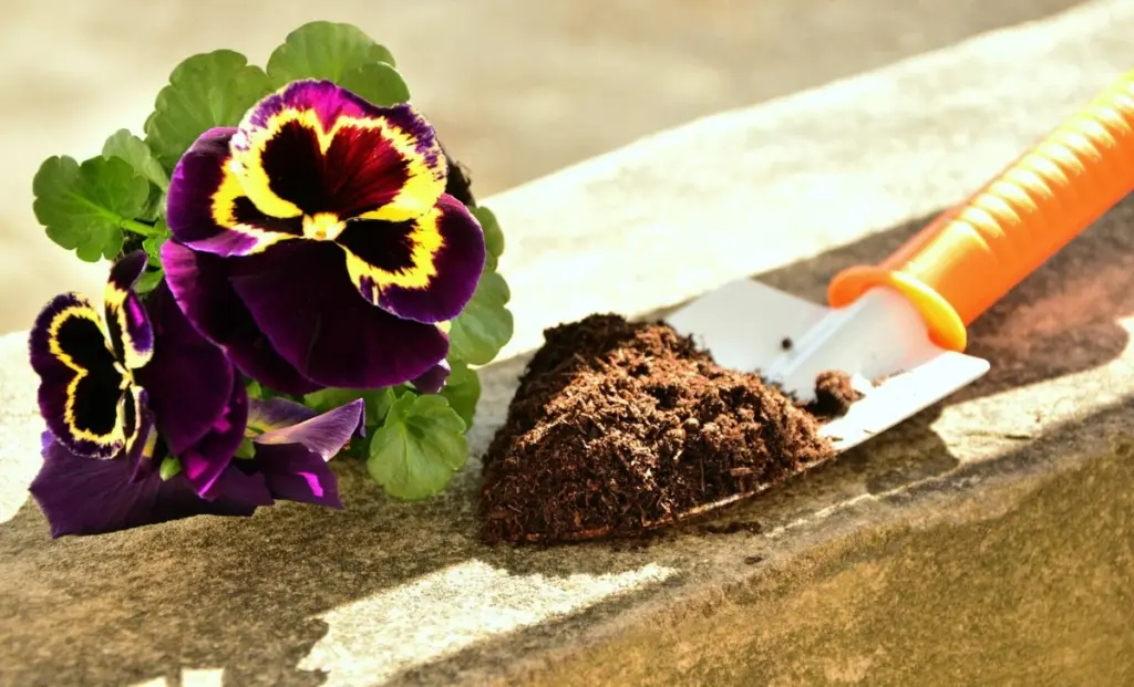 No tires tu sustrato para plantas viejo: el truco para renovar tierra de jardín
