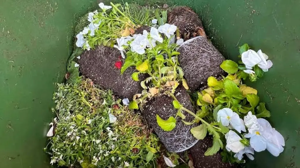 No tires tu sustrato (tierra para macetas): el truco con compost para revivirlo