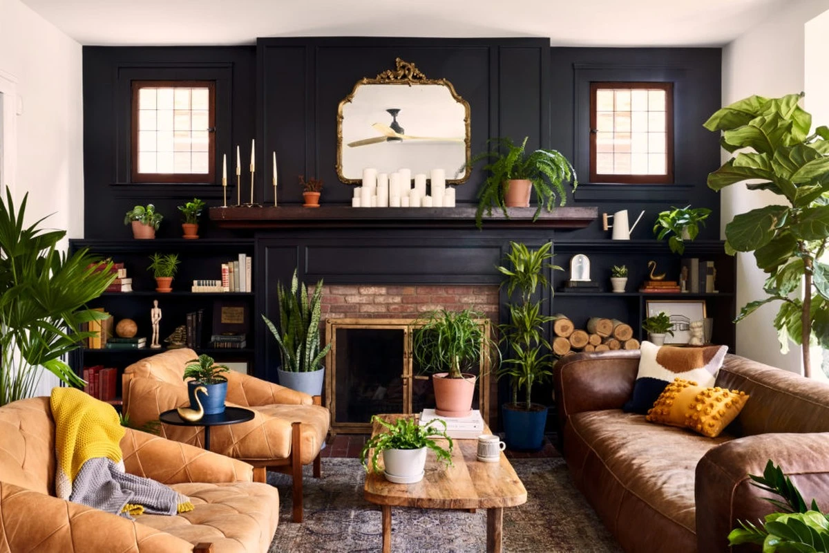 Pisos oscuros: el método para lucir Sansevieria y Zamioculca sin luz - image 1