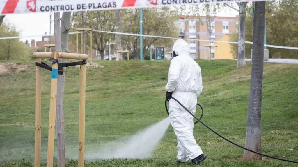 Plagas en Zaragoza: el Ayuntamiento actuará en 24 horas con este plan