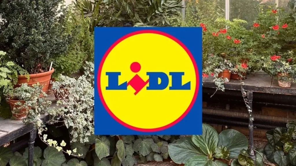 Plantas a salvo: la solución de Lidl y Parkside que se monta en 10 minutos