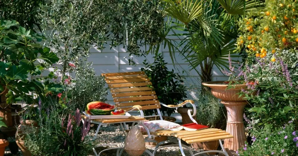 Plantas en maceta que no mueren: el truco del Oleandro para un oasis bajo el sol