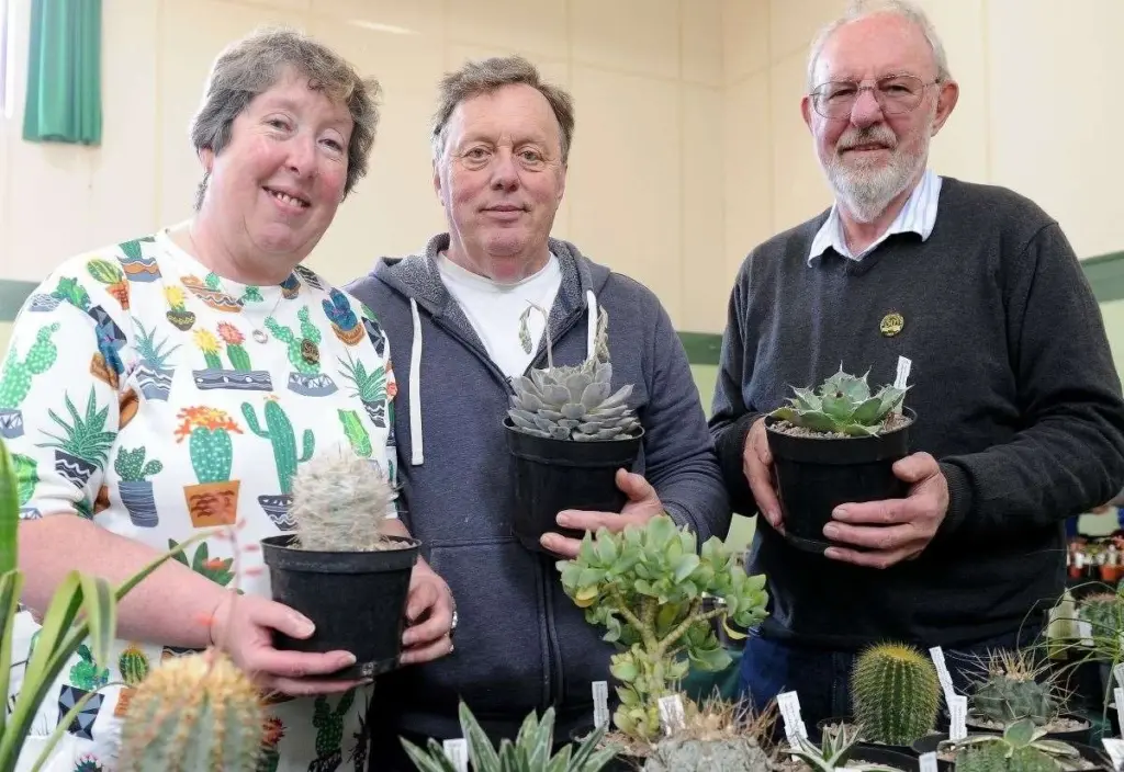 Plantas que no mueren: el secreto de Holbeach y la British Cactus and Succulent Society