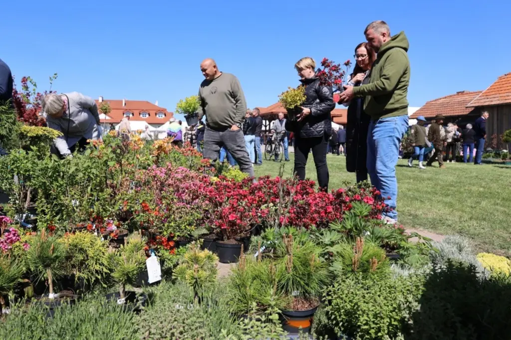 Plantas que no mueren: el secreto de la XI Bolsa de Jardinería de Primavera en Kresowa Osada