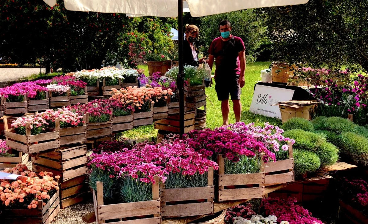 Plantas que no mueren: el secreto de la XI Bolsa de Jardinería de Primavera en Kresowa Osada - image 1