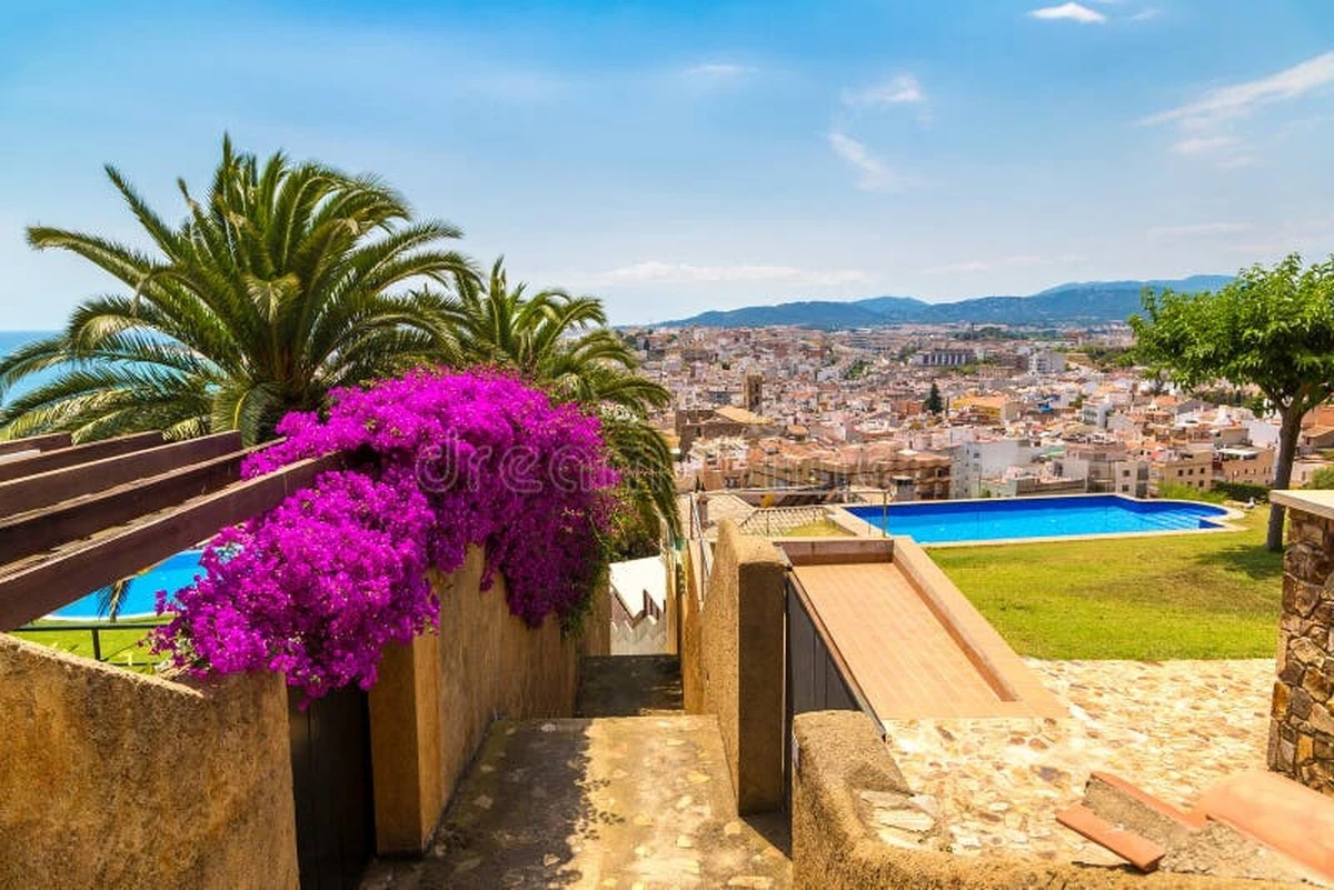 Plantas trepadoras: el truco de la Santa Rita para enfriar tu casa 5 grados - image 1