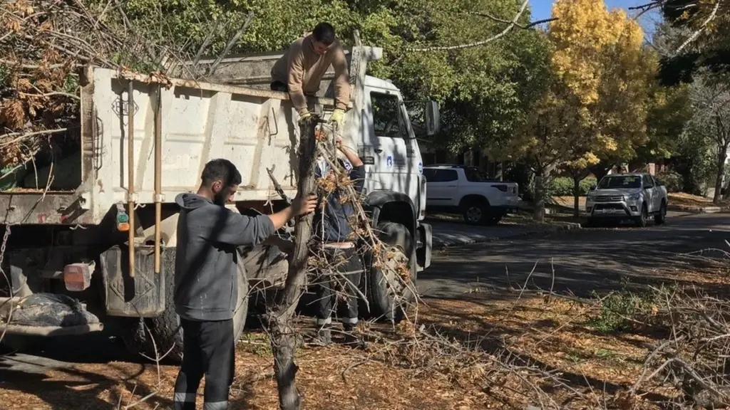 Poda y cables: el peligro de Edersa y Municipio de Cipolletti que debe conocer