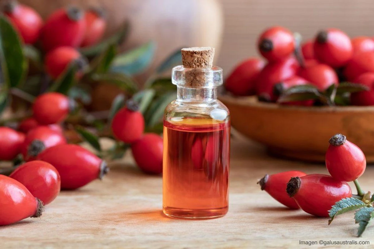 Por qué el aceite de rosa mosqueta en España se protege tanto: el secreto para que no pierda su poder - image 1
