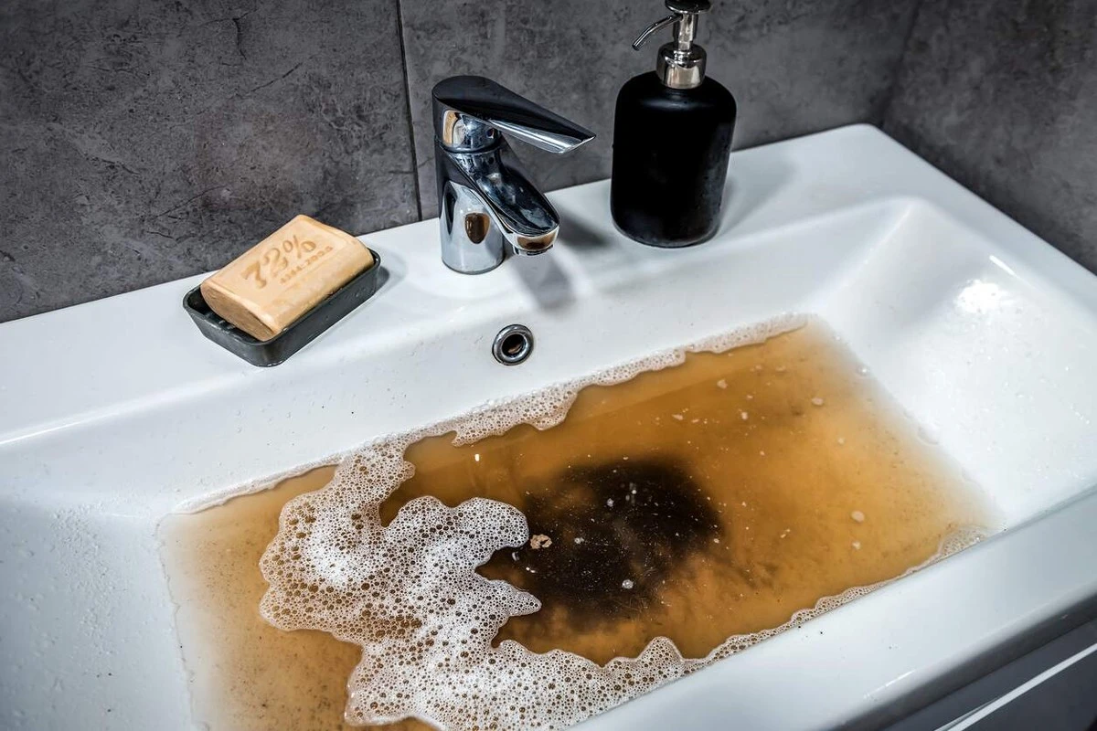 Por que jogar papel higiênico no vaso sanitário te custa caro - image 1