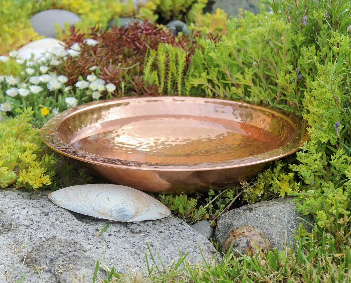 Por qué los jardineros expertos añaden cobre a los bebederos de pájaros - image 1
