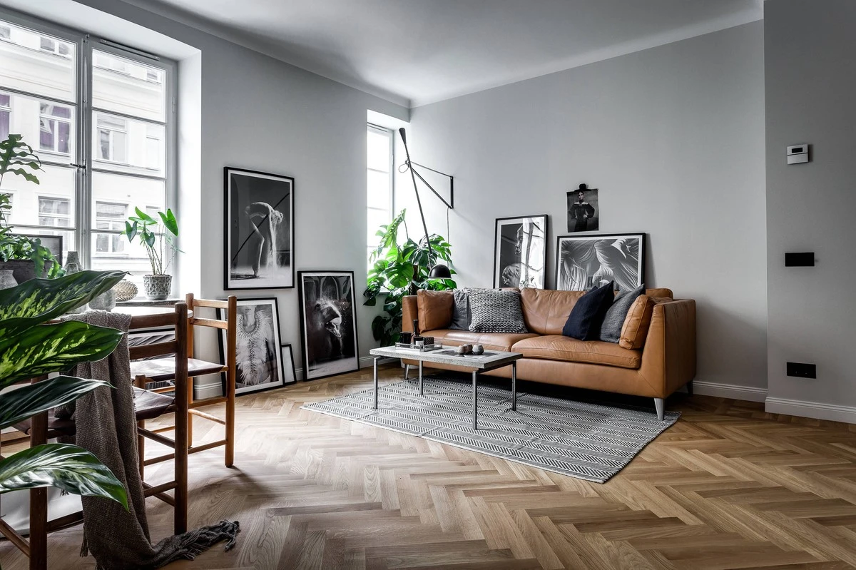 Rincones vacíos: 9 plantas de hojas grandes para tu decoración de interiores - image 1
