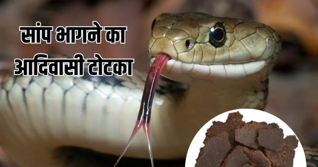 Serpiente en casa: el truco de 3 plantas para proteger tu hogar este verano