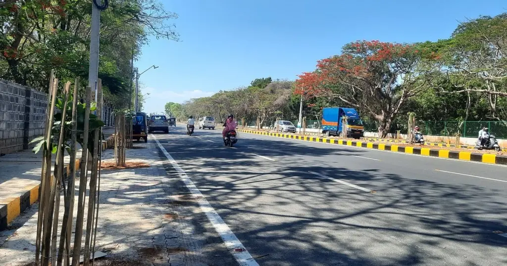 Tala en Mysuru: la presión tras Prajavani logra salvar los árboles en 72 horas