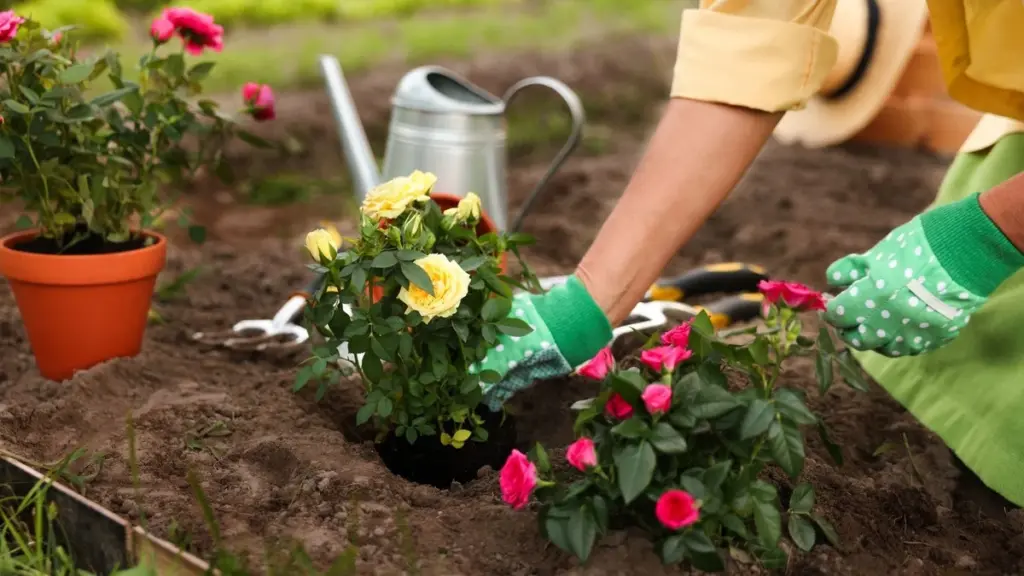 Terraza impecable en Primavera 2026: el básico de Rossmann de 5 euros para no manchar