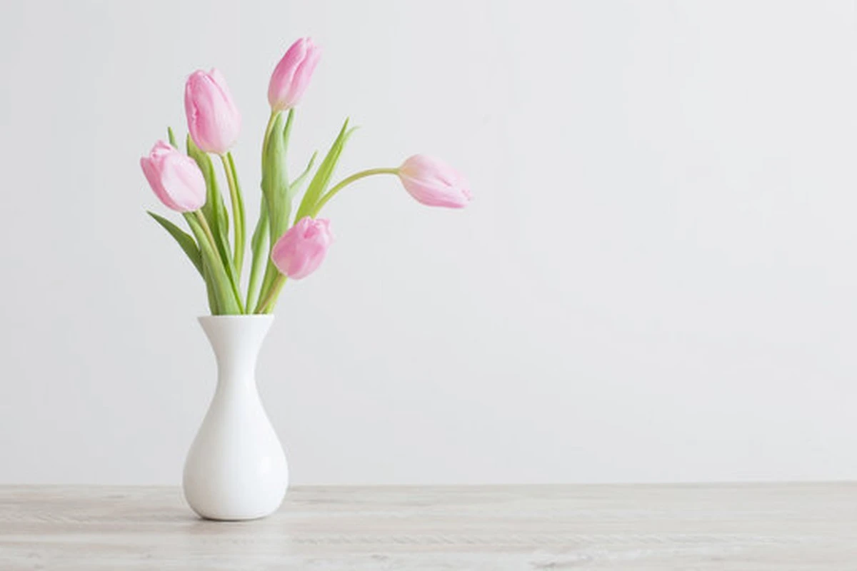 Tres gotas de hipoclorito de sodio: el secreto para que tus tulipas duren semanas - image 1