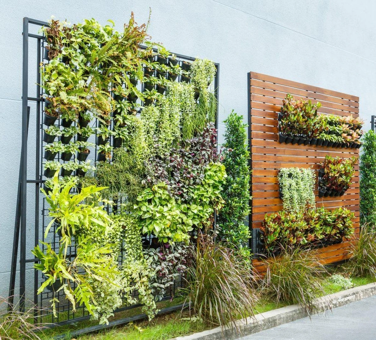 Viviendas en callejones estrechos: el truco de jardinería vertical que enfría tu casa - image 1
