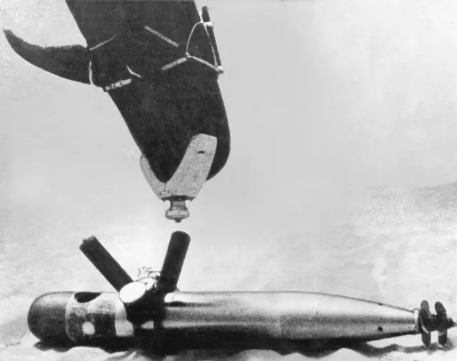 Foto en blanco y negro de un delfin con un equipo en su nariz cerca de un torpeo