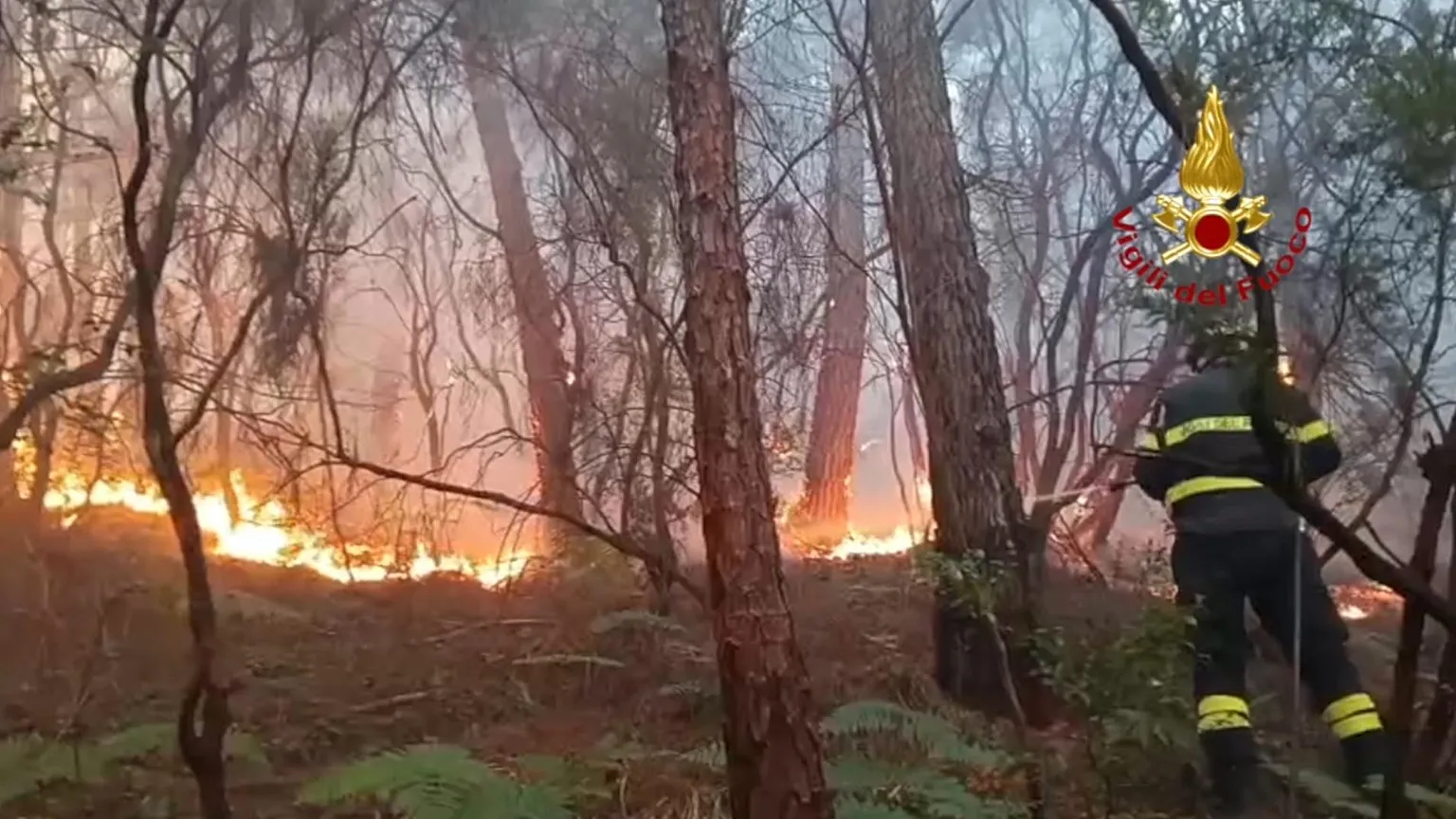 Monte Faeta fire in Tuscany