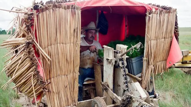 Un residente de Gaviotas planta retoños de pino con una máquina diseñada para minimizar el impacto en el suelo.