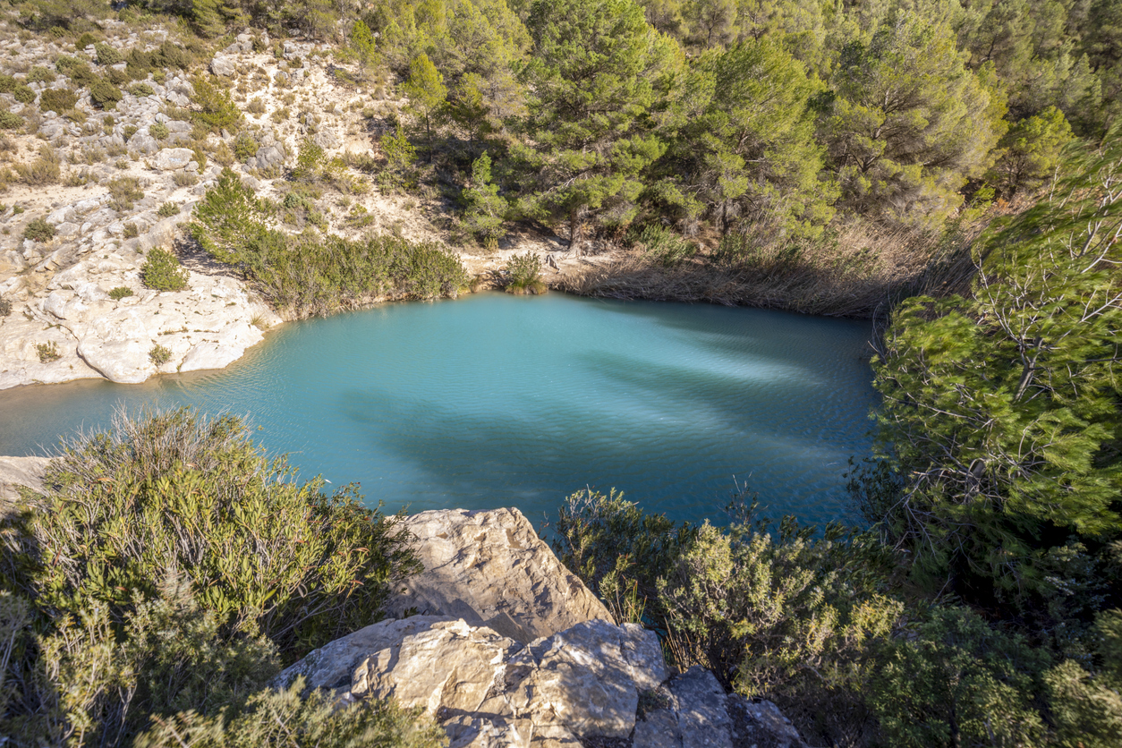 (Fuente: iStock)