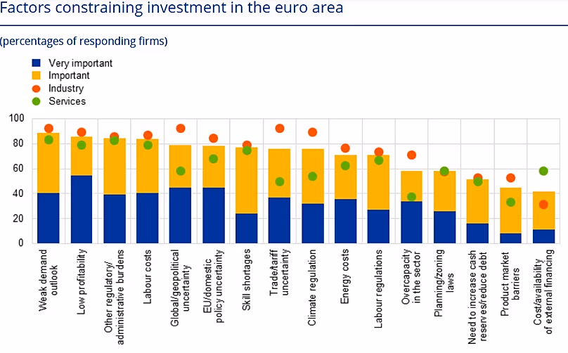 Factores que limitan la inversión en la zona euro