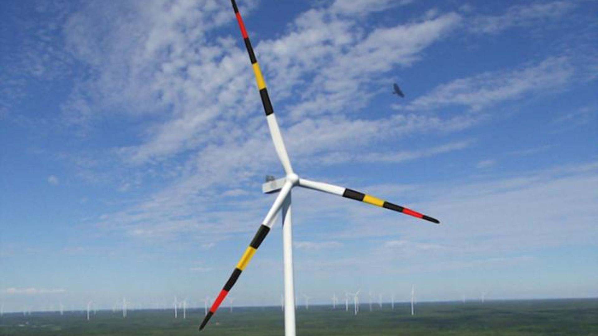 Por qué pintar de rojo, negro y amarillo las aspas de los molinos es la solución a uno de los grandes problemas de la eólica
