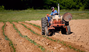 Un agricultor en su tractor en imagen de archivo. (Europa Press)