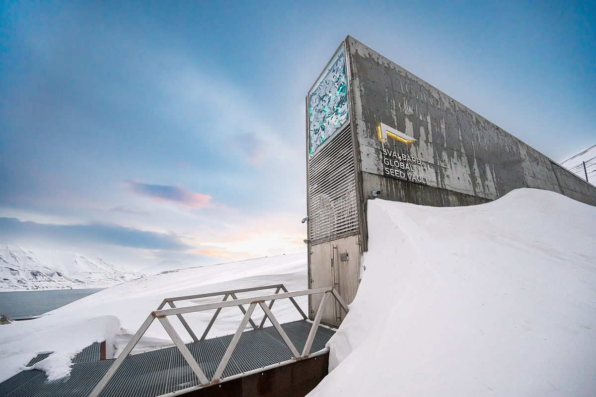 Banco Mundial de Semillas de Svalbard. (Michael Major/Wikimedia Commons)