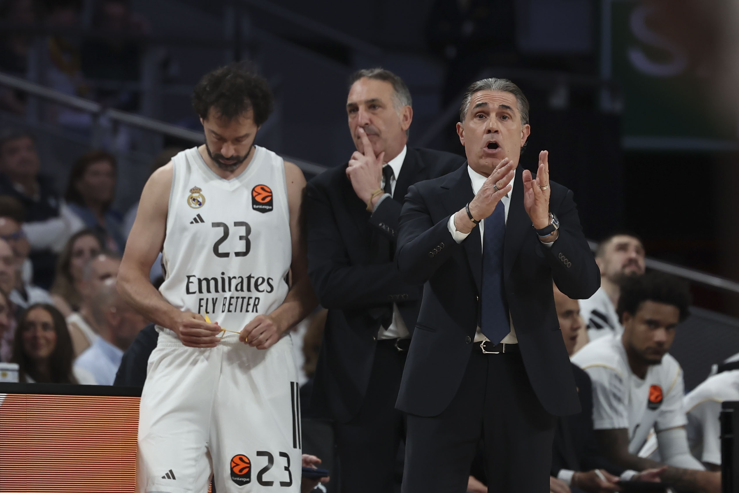 Scariolo, con Llull al fondo.